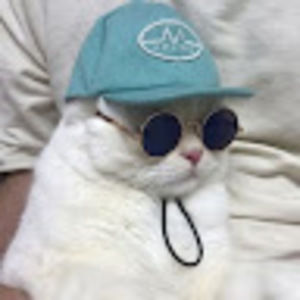 Meet your Posher, Maya